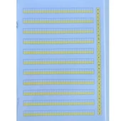2024 yeni müfredat klavuz dik çizgili güzel yazı defteri 2 adet orta  boy (16,5x24 cm ) 48 sayfa - 2