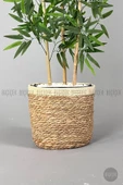 BİÇİÇEK   Yapay Bambu ağacı 140cm Hasır Saksıda - 7
