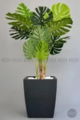 BİÇİÇEK   Yapay Monstera Ağacı 170 cm lux dış mekan saksıda - 2
