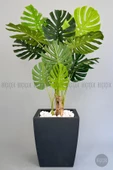 BİÇİÇEK   Yapay Monstera Ağacı 170 cm lux dış mekan saksıda - 1