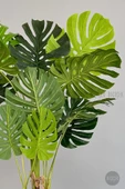 BİÇİÇEK   Yapay Monstera Ağacı 170 cm lux dış mekan saksıda - 7