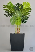 BİÇİÇEK   Yapay Monstera Ağacı 170 cm lux dış mekan saksıda - 9