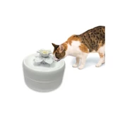 Pioneer Pet Manolya Kediler Için Otomatik Su Kabı 1600 Ml - 10