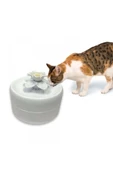 Pioneer Pet Manolya Kediler Için Otomatik Su Kabı 1600 Ml - 6