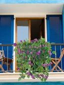 Nettenevime Yapay Çiçek Mor Begonvil li Mor Çit Balkon Saksısı 55*35cm 70cm Sarkar thumbnail 2