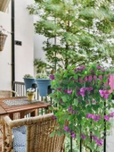 Nettenevime Yapay Çiçek Mor Begonvil li Mor Çit Balkon Saksısı 55*35cm 70cm Sarkar thumbnail 8