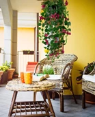 Nettenevime Yapay Çiçek Saksıda Fuşya Begonvil Çiçeği 9 Dallı 100cm Sarkan Çiçek thumbnail 6