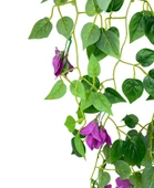 Nettenevime Yapay Çiçek Saksıda Mor Begonvil Çiçeği 9 Dallı 100cm Sarkan Çiçek thumbnail 4