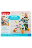 Melodili Zebra Yürüteç Dld80 - 4