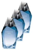 AVON   Perceive Soul Erkek Parfüm Edt 100 Ml. Üçlü Set thumbnail 1