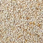 Ak Darı Muhabbet kuşu yemi 5 KG - 2