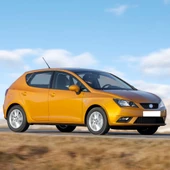 Seat İbiza 2013-2017 Ön Sağ Çamurluk Davlumbazı Plastik 6J0809958C - 2