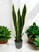 Yapay Çiçek Saksılı Yeşil Kılıç Çiçeği 68cm Salon Çiçeği Gri Seramik Saksılı Yapay Bitki - 2