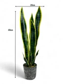Yapay Çiçek Saksılı Yeşil Kılıç Çiçeği 68cm Salon Çiçeği Gri Seramik Saksılı Yapay Bitki - 3