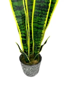 Yapay Çiçek Saksılı Yeşil Kılıç Çiçeği 68cm Salon Çiçeği Gri Seramik Saksılı Yapay Bitki - 4