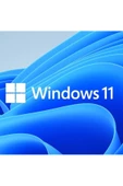 Microsoft Windows 11 Pro Fqc-10556 Tr Dvd Oem İşletim Sistemi - 1