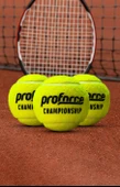 Proforce Proforce TB20 Vakum Ambalajda Üçlü Tenis Topu TB20 - 3