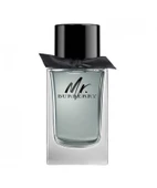 Burberry Mr. Burberry EDT 100 ml Erkek Parfüm thumbnail 2