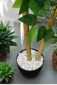 Yapay Benjamin Ağacı 2 Dal 110 Cm - 4