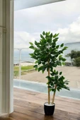 Yapay Benjamin Ağacı 2 Dal 110 Cm - 8