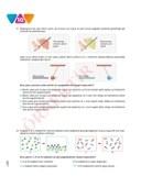 LGS FEN BİLİMLERİ 10'LU Branş Denemeleri | Video Çözümlü | MEB Müfredatına Uygun thumbnail 5