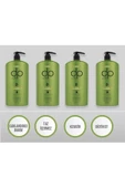 dp Daily Perfection Moringa Yağı Şampuan 425 ml 4 adet - 1