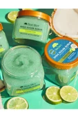 Tree Hut Coconut Lime Shea Sugar Scrub Vücut Peelingi 510GR thumbnail 2