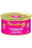 Paradise Air Strawberry Oda ve Araba Kokusu 42GR - 1