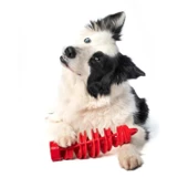 Bama Köpekler İçin Toksit İçermeyen Oyuncak - 2