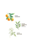 Bodrum Mandalinası 150 ml Sprey Kolonya - Pet Şişe - 2