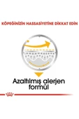 Royal Canin Dermacomfort Köpek 85 gr - 5