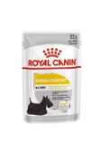 Royal Canin Dermacomfort Köpek 85 gr - 1