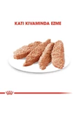 Royal Canin Dermacomfort Köpek 85 gr - 3