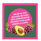 Elidor Şampuan 350 ml Avokado & Üzüm Çekirdeği Yağı - 4