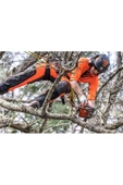 Husqvarna T525 Benzinli Dal Budama Testeresi 1.5 Hp - 4