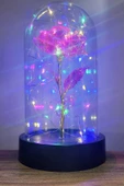 Siyah Tabanlı Led Işıklı Sevgililer Günü Solmayan Sonsuzluk Gülü Fanuslu Gece Lambası - 10