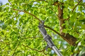 Gardena 14774-20 Akülü Teleskopik Yüksek Dal Makası Highcut 250/18v P4a Set - 7