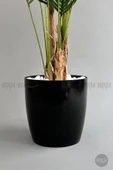 Yapay Areka Palmiyesi 200 cm saksıda - 11