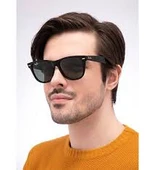 Ray-Ban RB2140 901/58 50 Polarize Wayferer Güneş Gözlüğü thumbnail 3