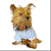 Softie Blue Bunny Kapşonlu Sweat by Kemique Köpek Kazağı thumbnail 2