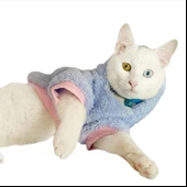 Softie Blue Bunny Kapsonlu Sweatshirt Kedi Süeteri Kedi Kıyafeti - 2