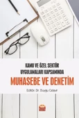 Kamu ve Özel Sektör Uygulamaları Kapsamında Muhasebe ve Denetim - 1