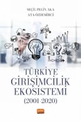 Türkiye Girişimcilik Ekosistemi (2001-2020) - 1