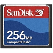 Sandisk 256 Mb Compact Flash Hafıza Kartı - 1