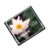 Kingston 2 Gb Compact Flash Hafıza Kartı - 1