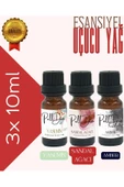 PellDio Home 3'lü Yasemin Sandal Amber Esansiyel Uçucu Yağ Buhurdanlık Yağı Difüzör Esansı Oda Kokusu 10ml - 1