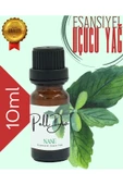 PellDio Home 3'lü Yasemin Sandal Amber Esansiyel Uçucu Yağ Buhurdanlık Yağı Difüzör Esansı Oda Kokusu 10ml - 4