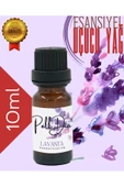 PellDio Home 3'lü Yasemin Sandal Amber Esansiyel Uçucu Yağ Buhurdanlık Yağı Difüzör Esansı Oda Kokusu 10ml - 2