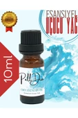 PellDio Home 6'lı Esansiyel Uçucu Yağ Buhurdanlık Yağı Difüzör Esansı Oda Kokusu 10ml - 4