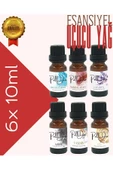 PellDio Home 6'lı Esansiyel Uçucu Yağ Buhurdanlık Yağı Difüzör Esansı Oda Kokusu 10ml - 1